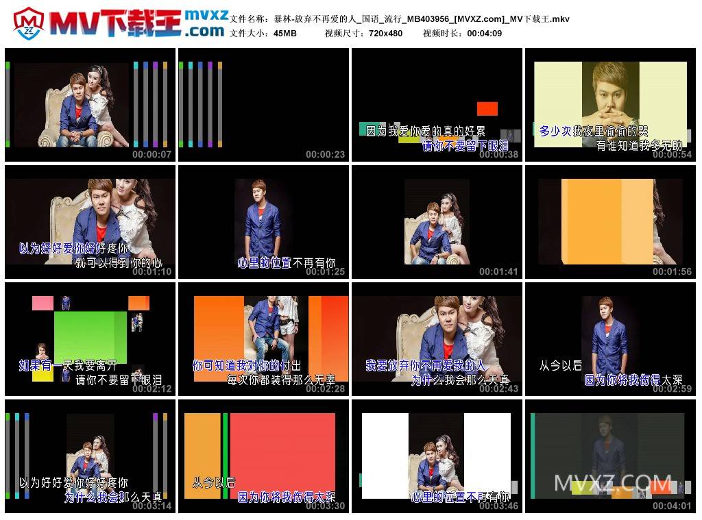 暴林-放弃不再爱的人_国语_流行_MB403956